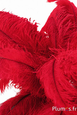 Struisvogel - 32-42 cm - grijs-donkerrood